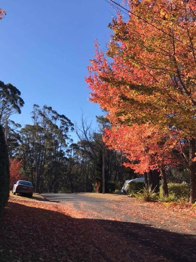 Newly Built - Blue On Albion Villa Katoomba Exteriör bild